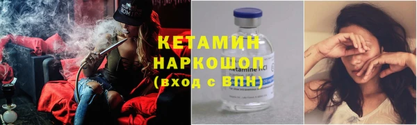 крисы Бородино