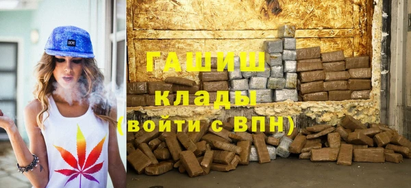 крисы Бородино