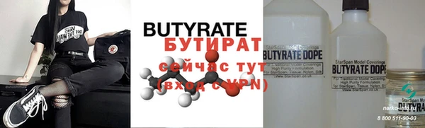 крисы Бородино