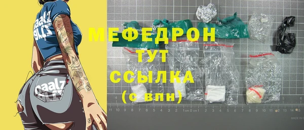 крисы Бородино