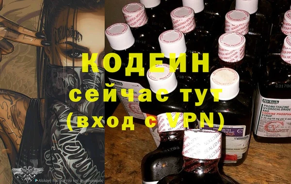 крисы Бородино