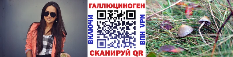 нарко площадка формула  цена   Каменногорск  Галлюциногенные грибы MAGIC MUSHROOMS 